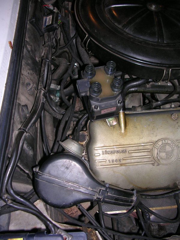 I will pull out my distributor and put coil pack in it's place, but for now it is located like this.